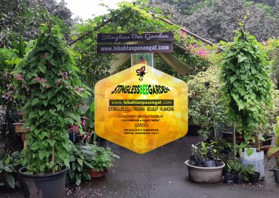 Stinglessbeegarden2