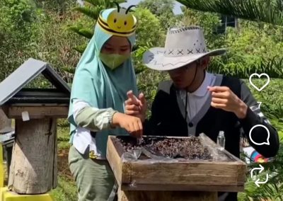 Edukasi Lebah Honeyland (5)